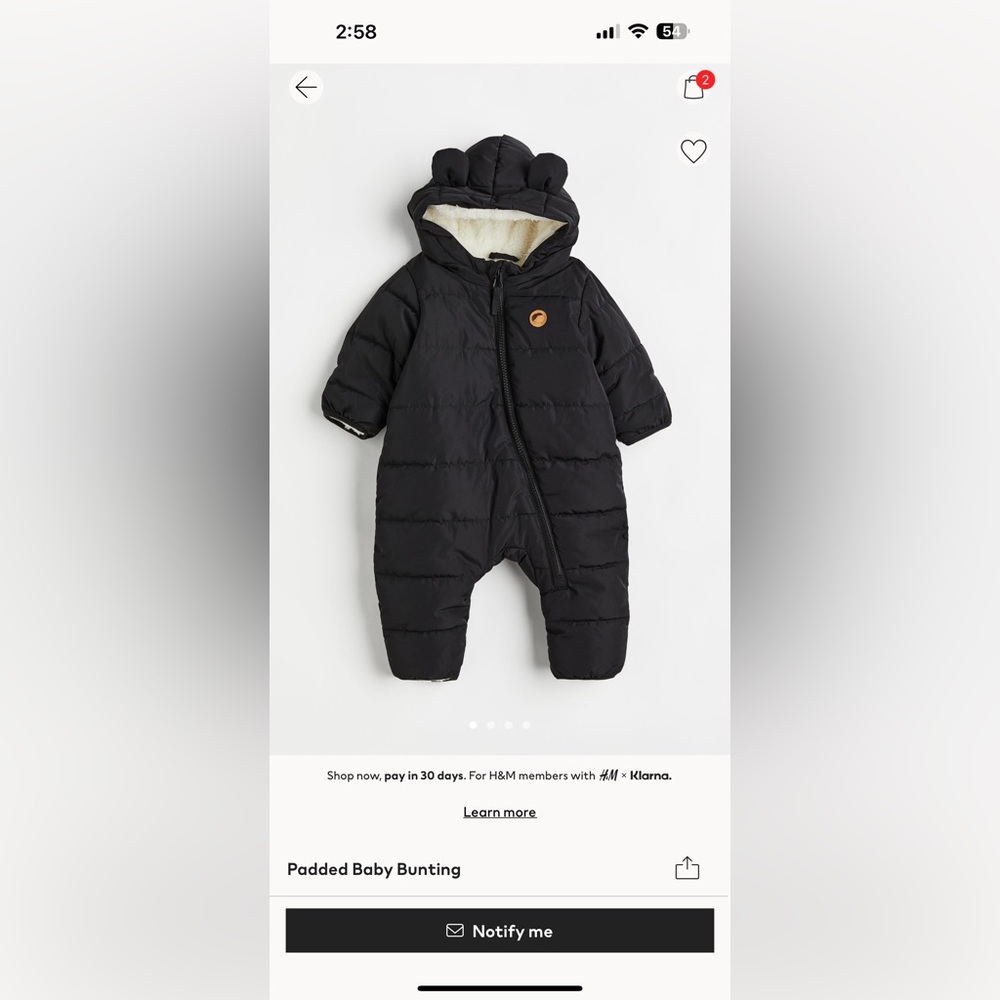 Baby bunting suit